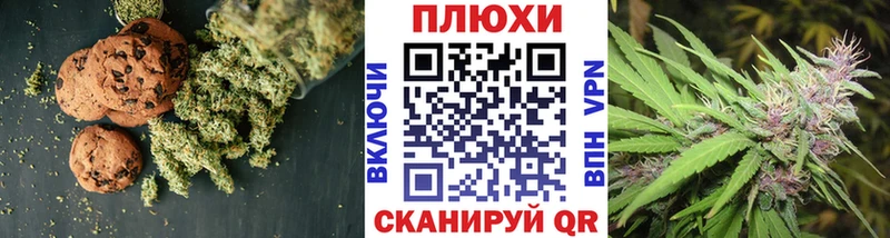 купить цена Гаджиево Cannafood конопля